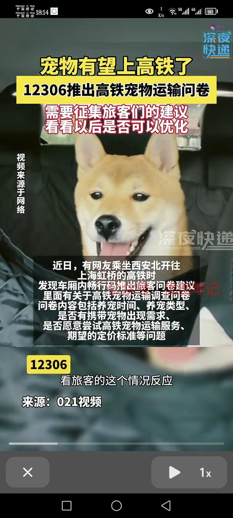 宠物有可能准许上高铁，…#情报-搞钱线报📢论坛-网创交流-优创圈